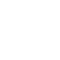 Experienced Consultants